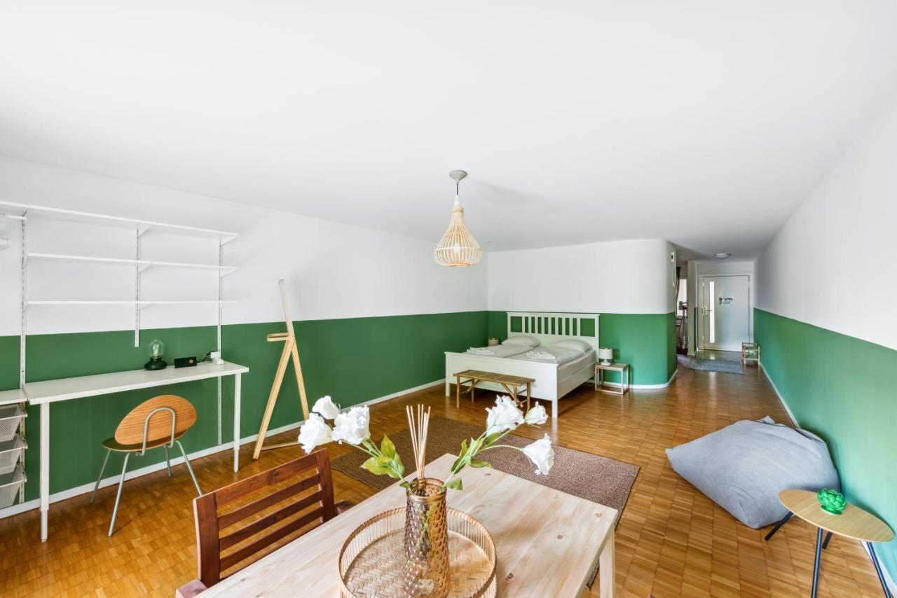 Cozy Apartments Close To The Center Of Zurich Forch Exterior foto