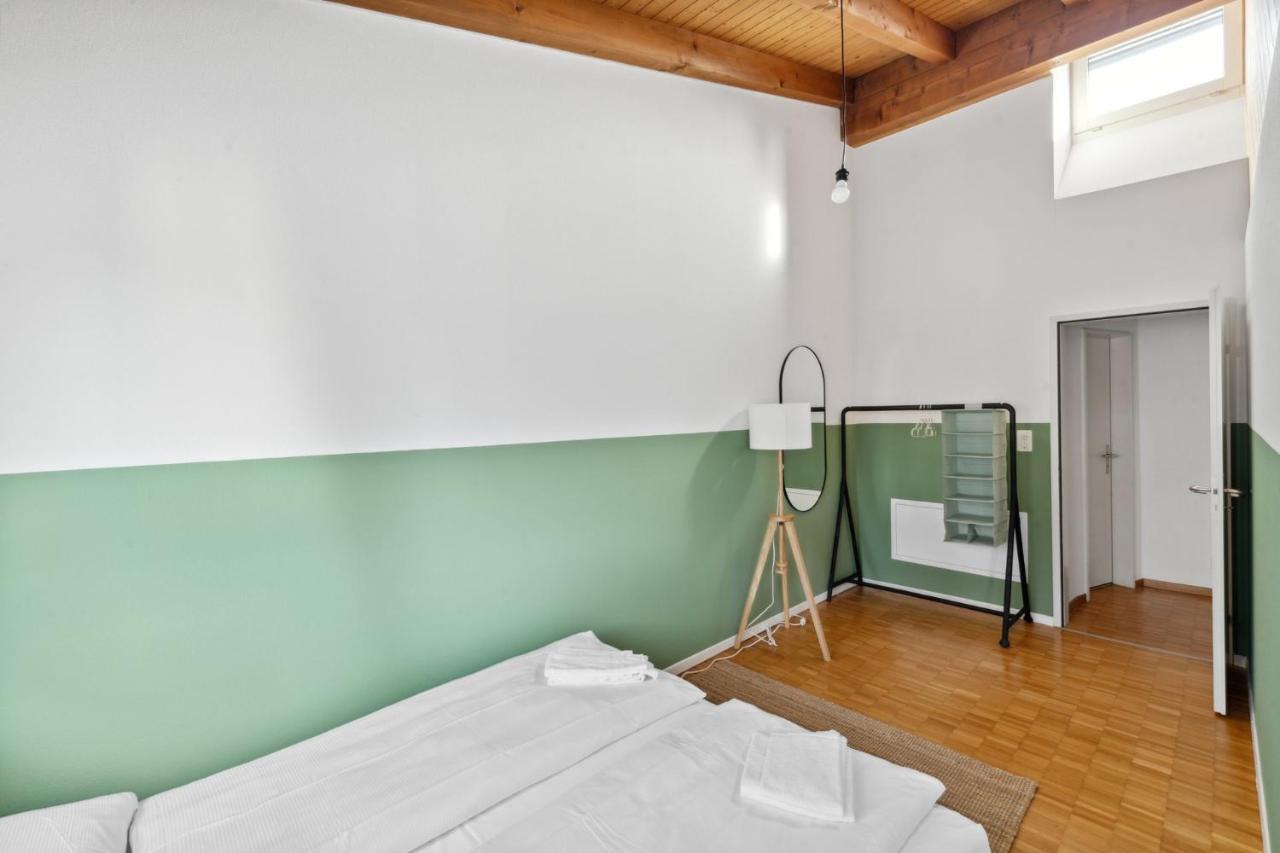Cozy Apartments Close To The Center Of Zurich Forch Exterior foto